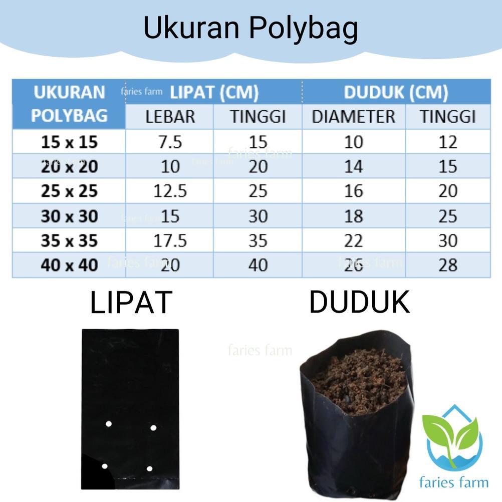 Promo Cod Polybag Polibag 1 Pack Kurang Lebih 250 Gram Ukuran 15X15 20X20 25X25 30X30 35X35 40X40 50