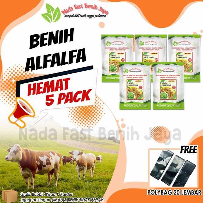5 Pack benih alfalfa - benih pakan ternak benih tanaman alfalfa