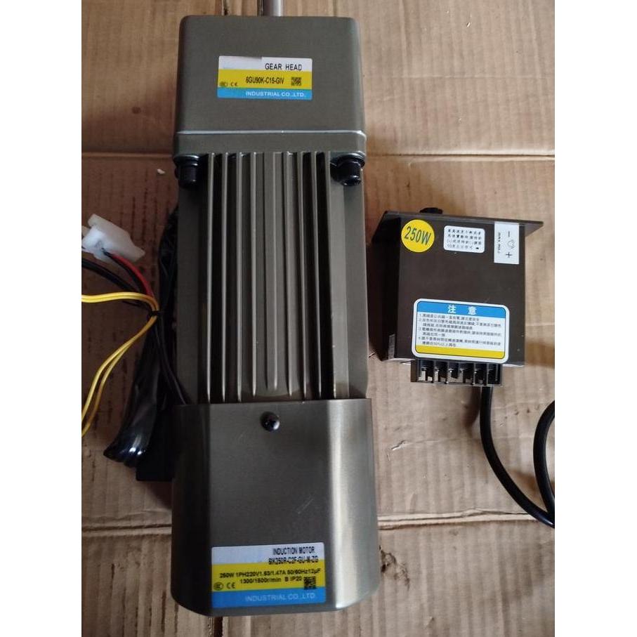 AC motor with braker gearbox  220V 250W Variable Speed Control