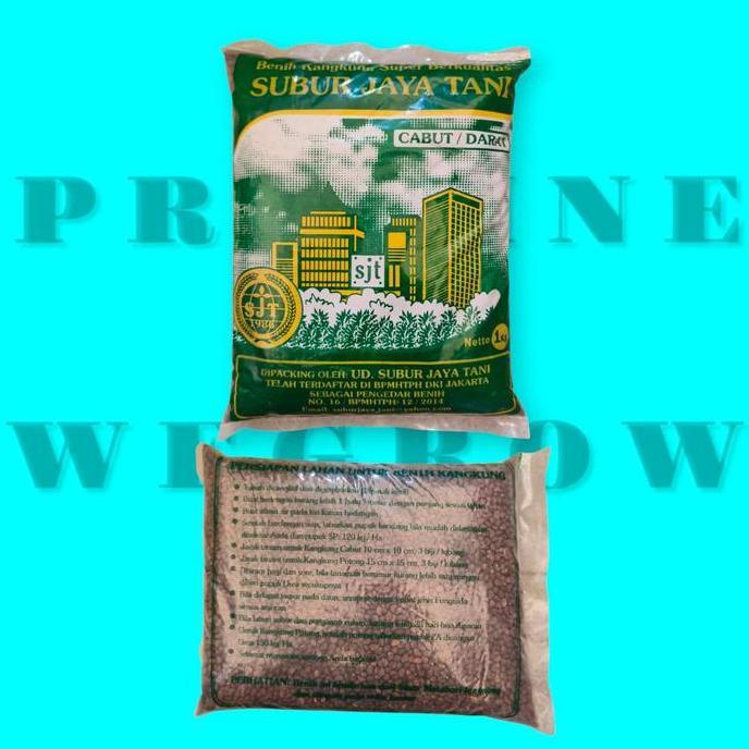 Bibit Benih Biji Kangkung 1 Kg Sayuran hidroponik