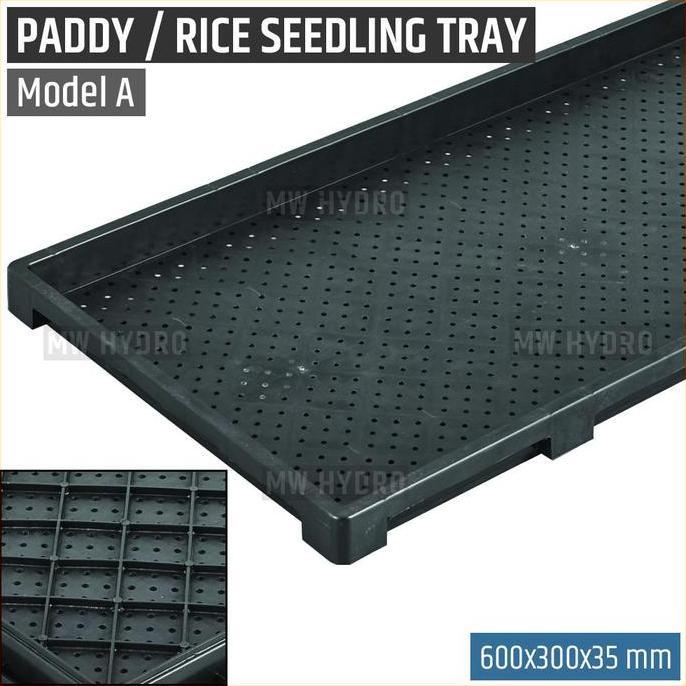 PADDY / RICE SEEDLING TRAY, TRAY SEMAI BIBIT PADI / MICROGREEN - A