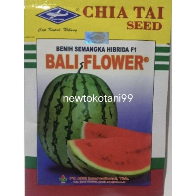 Benih semangka BALI FLOWER 20 gram semangka hibrida loreng lonjong merah BALI FLOWER 20 gr dari bisi