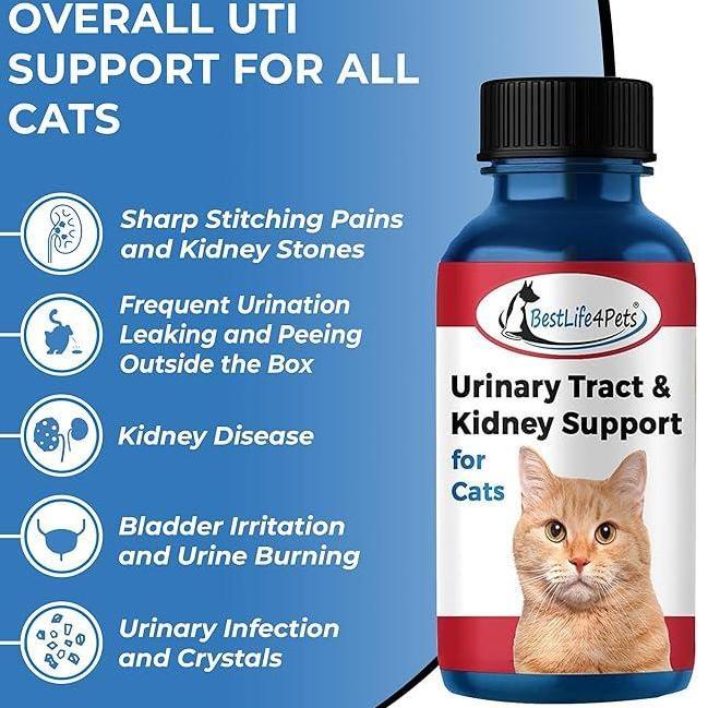 BestLife4Pets Cat UTI Urinary Tract Infection & Kidney