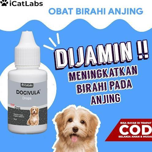 DOGIVULA OBAT BIRAHI ANJING PENAMBAH BIRAHI ANJING VITAMIN ANJING