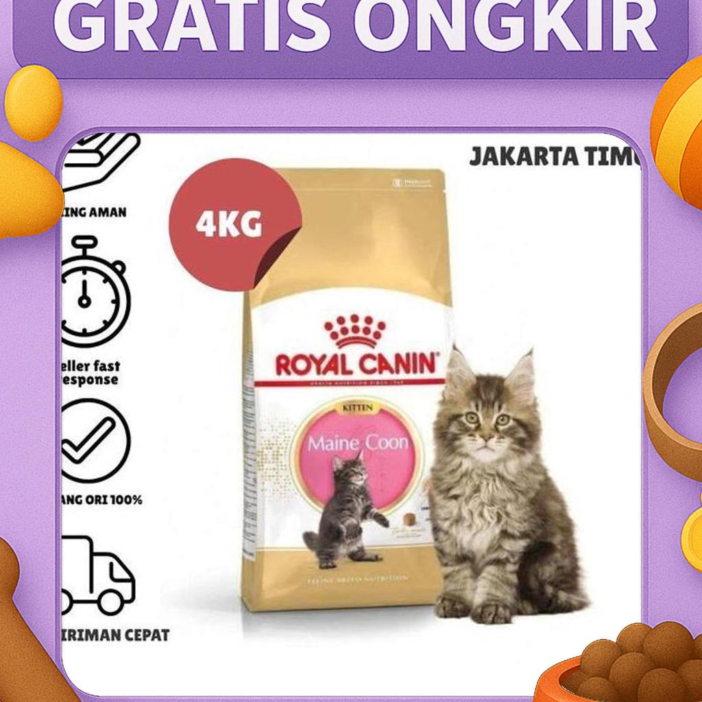 Royal Canin Kitten Maine Coon 4Kg / Royal Canin Maine Coon Kitten