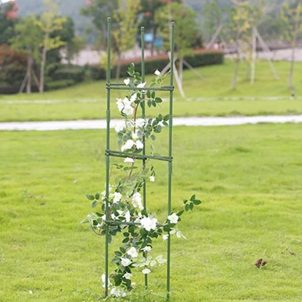 penyangga tanaman / rambatan tanaman anggur