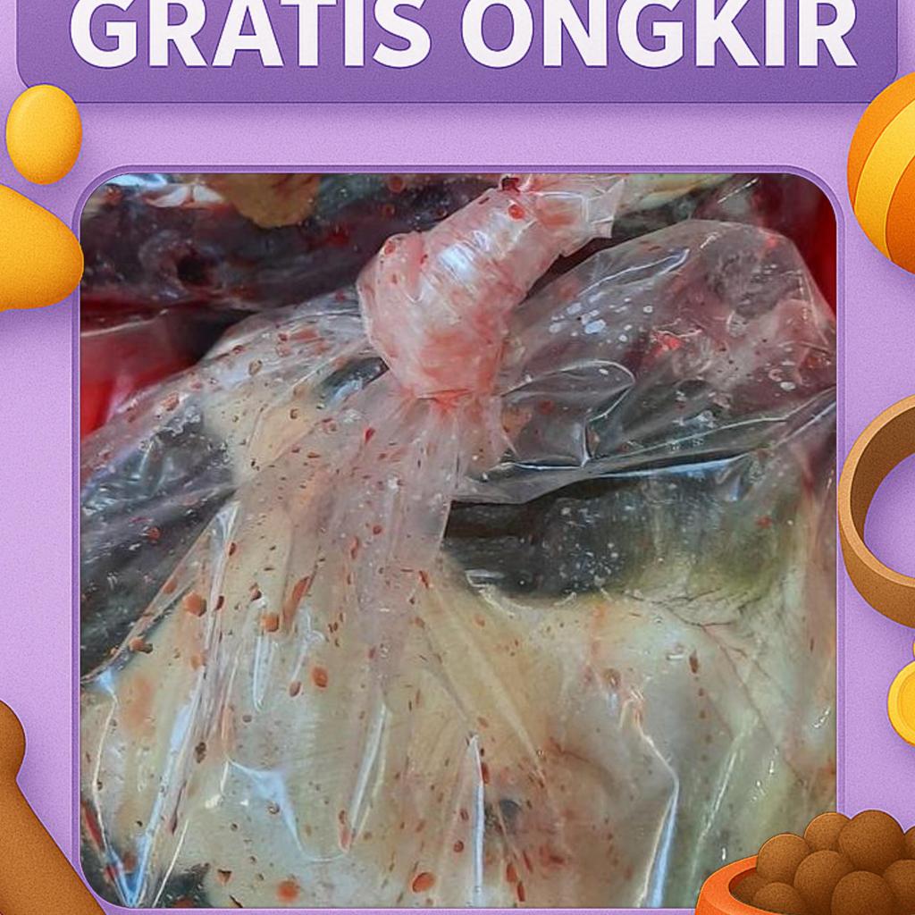 Daging Labi Labi Bulus Segar1Kg