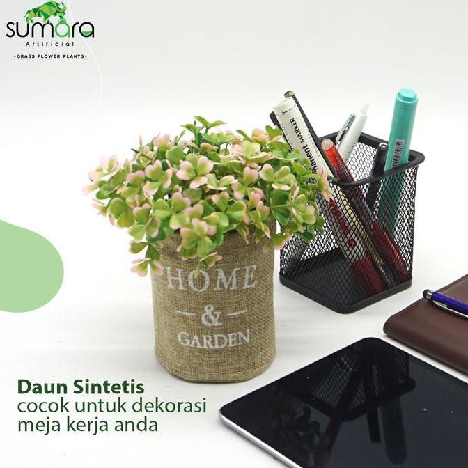 Lansunggaskirim- Daun Semanggi Merah Muda Pot Karung