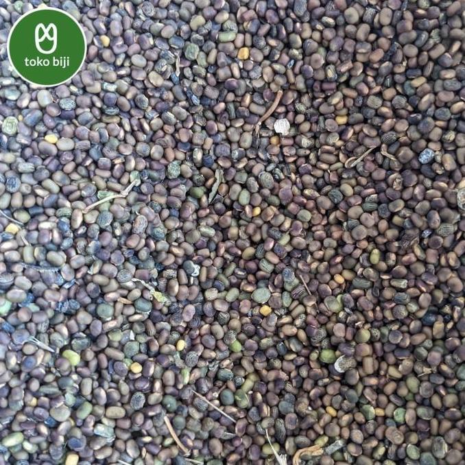 New- Biji Benih CP (Centrosema pubescens)