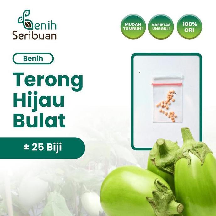 24 Benih Terong Hijau Bulat Bibit Sayuran Terong Pondoh Telur Ronggo