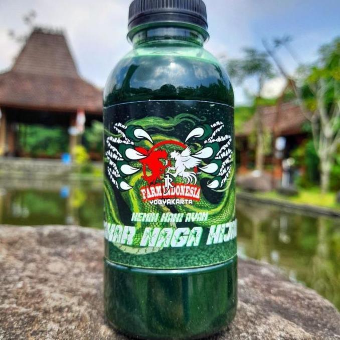 Kemin Kaki Cakar Naga Merah & Hijau khusus kaki ayam