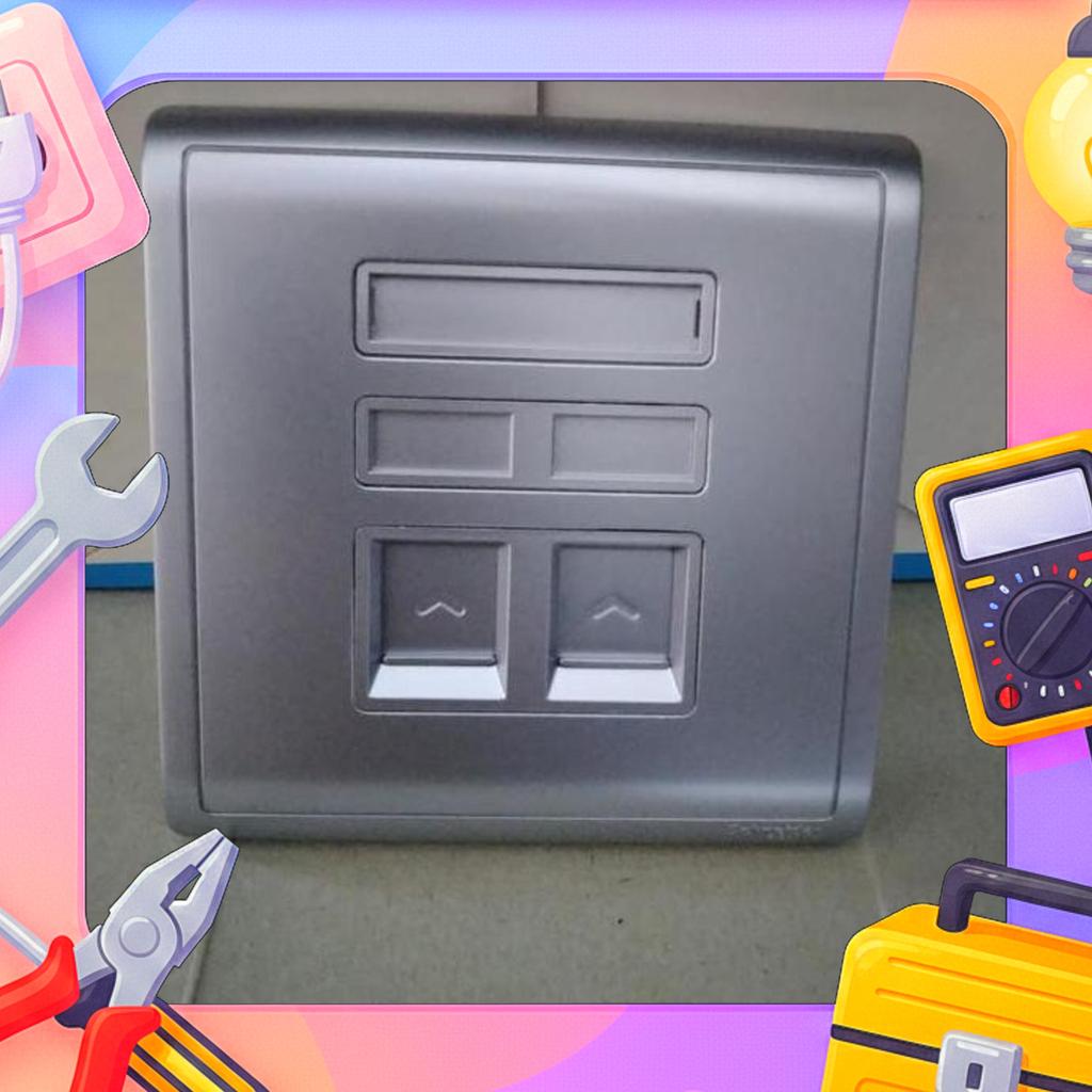 Pieno E8232Rj Outlet Data 2 Gang Lavender Silver Schneider