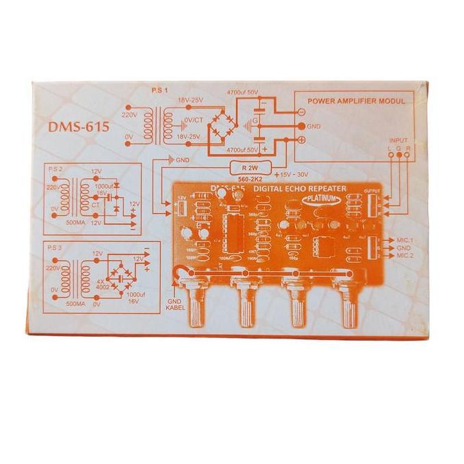 DMS 615 DIGITAL ECHO KARAOKE 2 MIC 12V DC NOL REFEAT GEMA ORI PLATINUM
