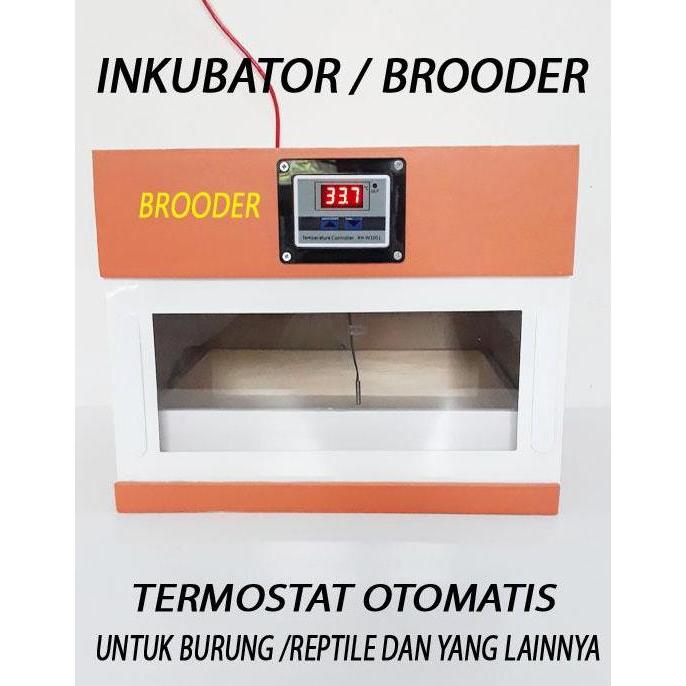 TERMURAH penghangat anakan burung inkubator penghangat anakan burung READY STOCK