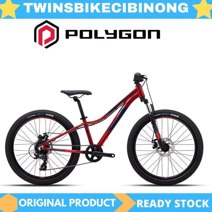 Terlaris Sepeda 24 Mtb Polygon Relic