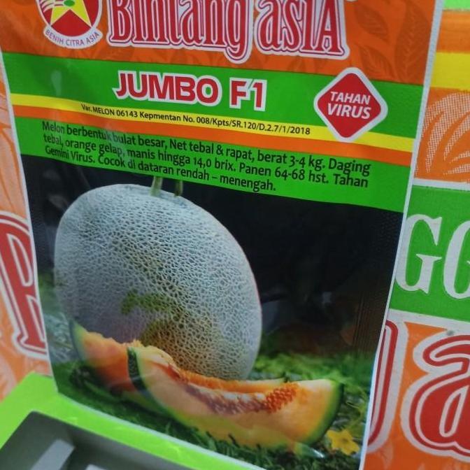 Best- Melon JUMBO F1 "bintang asia"