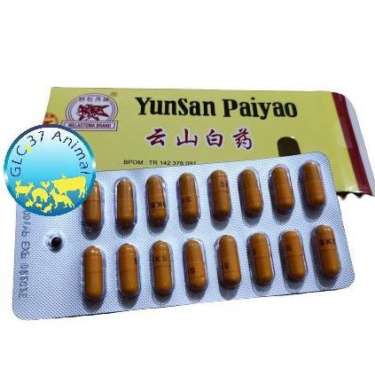 Healt- Yunnan Paiyao Yunsan Bukan Yunan Baiyao Obat Luka Dalam Bengkak Memar
