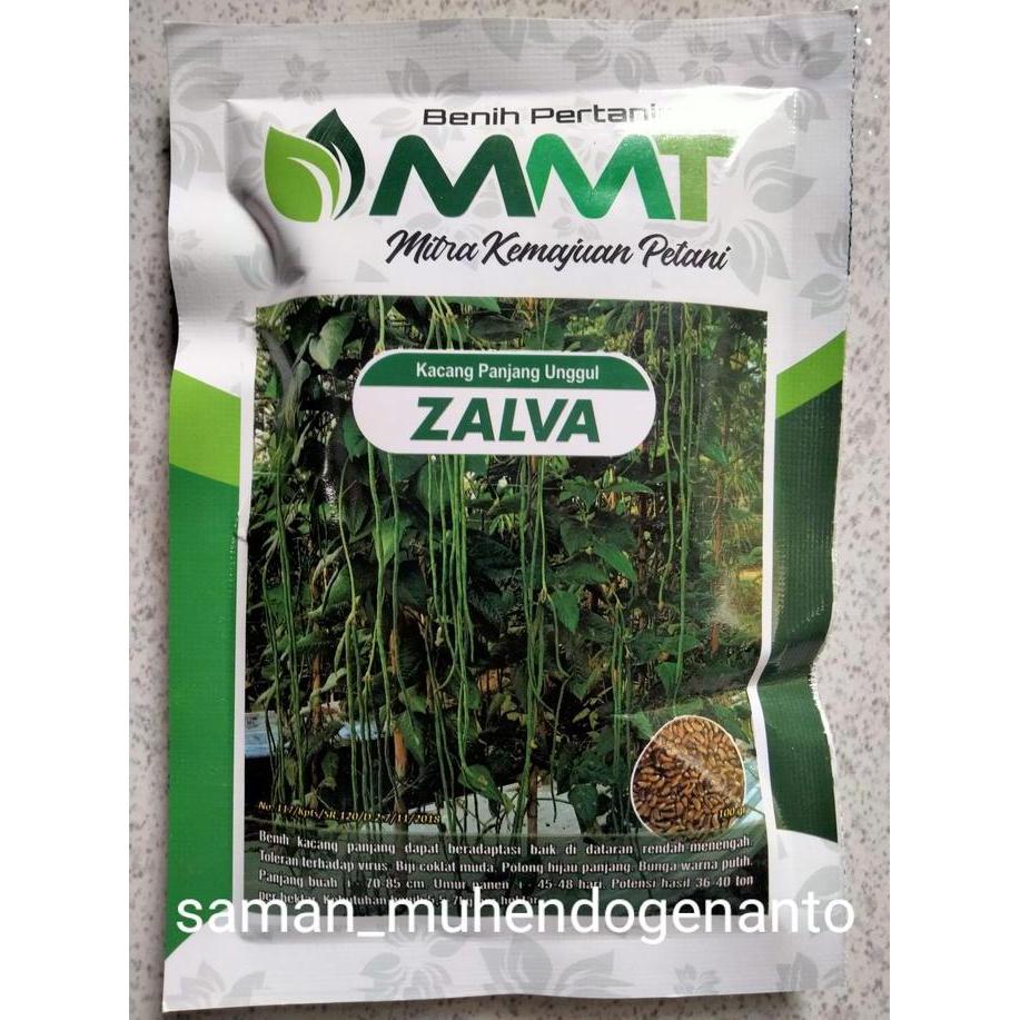Grdn- Benih Kacang Panjang Zalva 100 Gram - Bibit Kacang Panjang Zalva Jalva Jalpa Zalfa Jalfa Zalpa