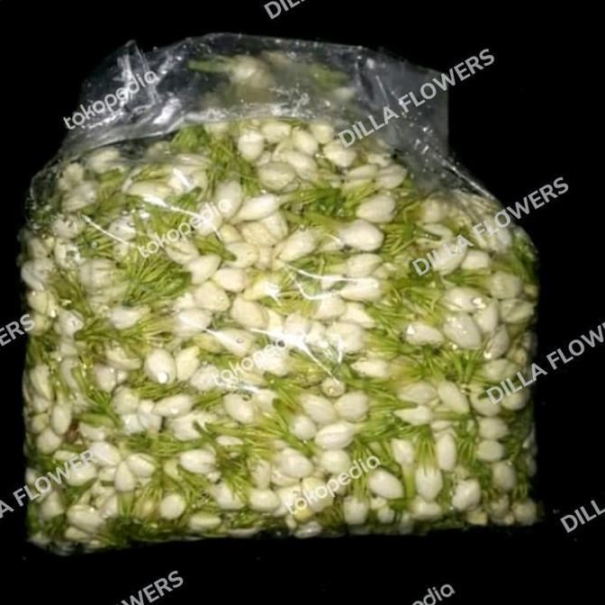 Flwr- Bunga Melati Segar