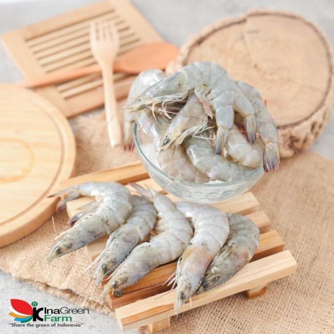ASLI Udang Peci Besar Premium Inn Farm Bandung READY STOCK