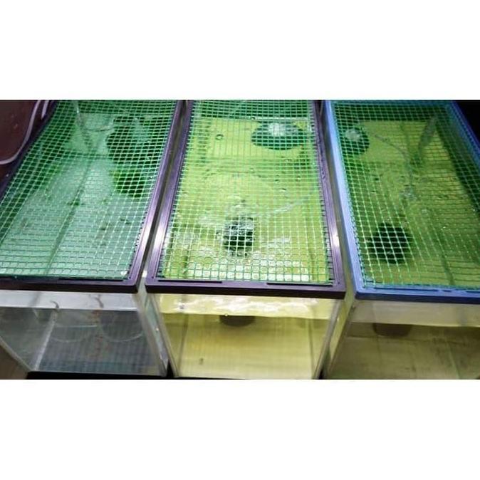 Kawat Mesh Grill Plastik Pembatas Sekat Ikan Aquarium Promo