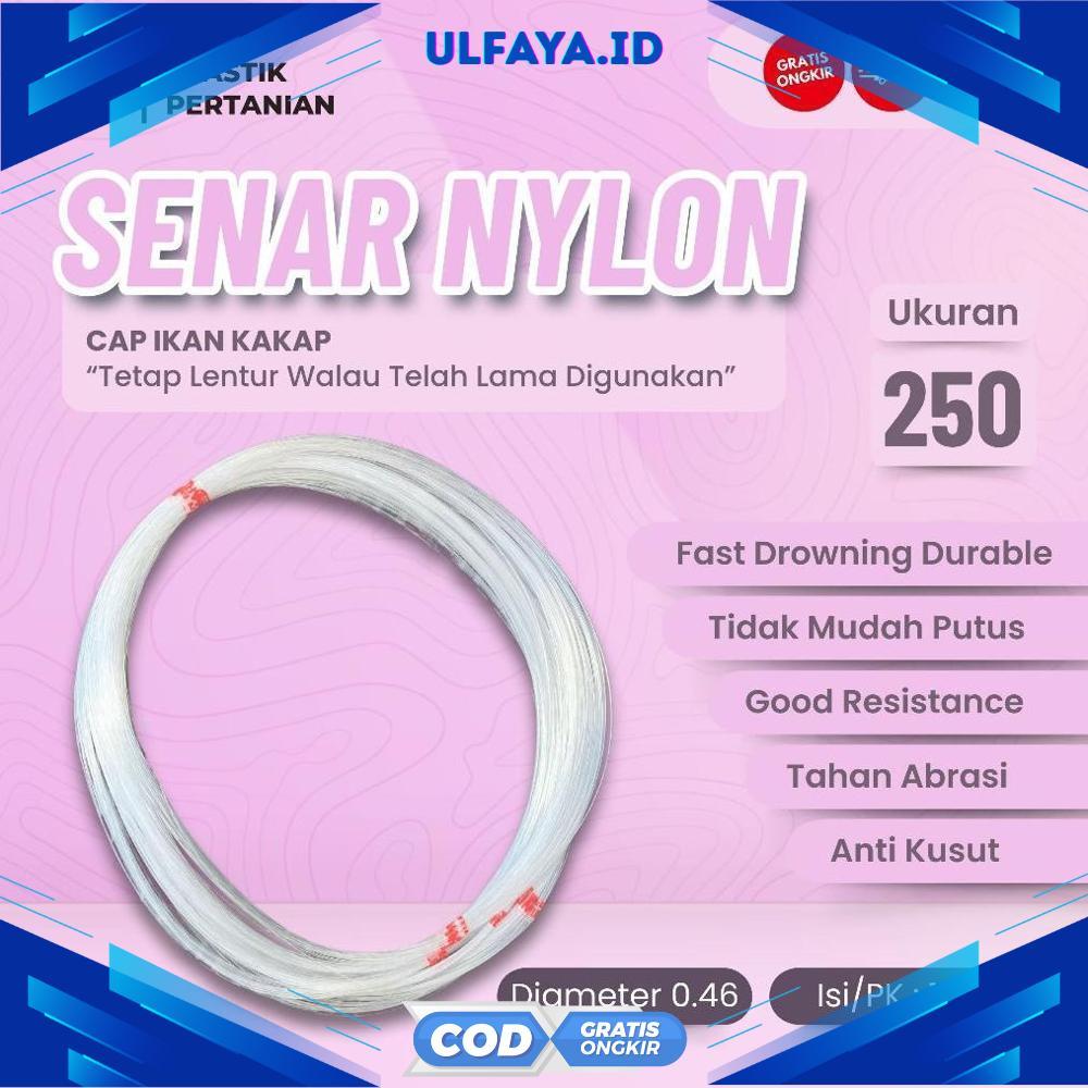 Senar Cap Ikan Kakap  Ukuran 250 (12)  per Roll /Tali Senar Pancing / Senar Layangan - RO30-1312 202