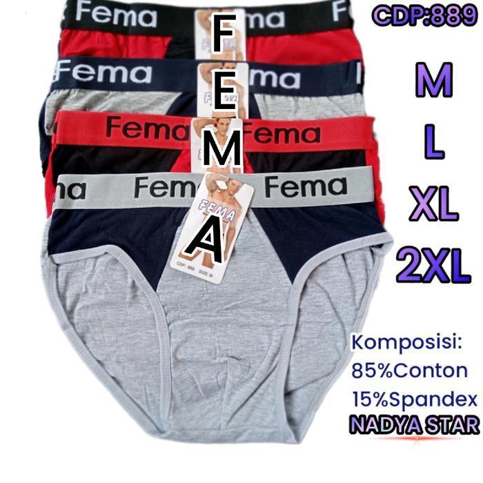 3Pcs Celana Dalam Pria Fema Cd Pria Dewasa Fema Katun Spandex