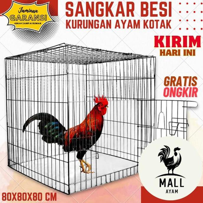 NEW AYAM MALL Sangkar Kandang Besi Kotak Lipat Kurungan Kurung Ayam Jago