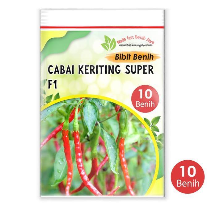 5 Biji Benih Cabe merah keriting Lado unggulan