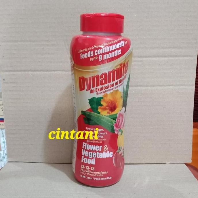 Pupuk Slow Release Dynamite 13-13-13 Isi 907 Gr (9 Bulan 1X Pupuk)