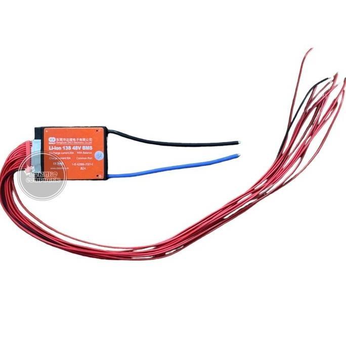 NEW BMS DALY 13S 48V Baterai Lithium 18650