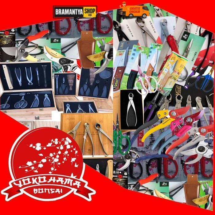 New Yokohama Bonsai - Gunting Bonsai, Gunting Pruning, Gunting Pruning Bonsai