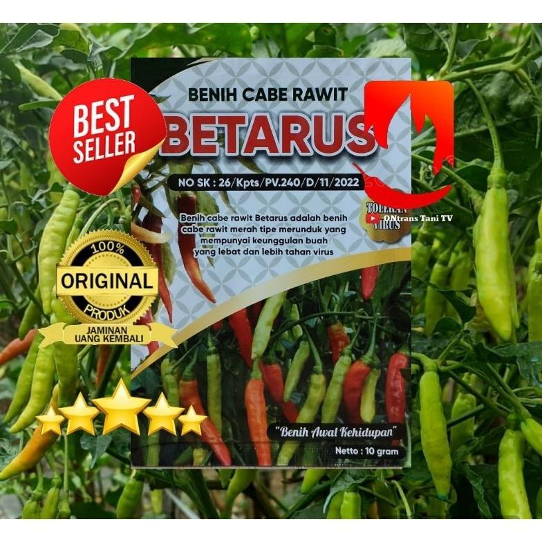 Benih Cabe Rawit BETARUS 10gr. Benih Rawit Tahan Virus