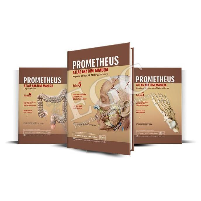 rims_daps - egc prometheus atlas anatomi manusia edisi 5 (set 3 buku)