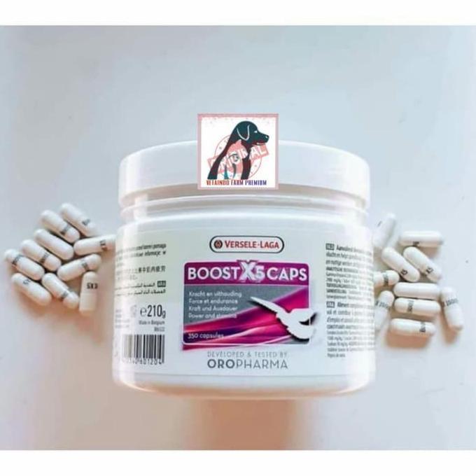 Brixd- Boost X5 Caps Versele Laga Vitamin Kapsul Burung Merpati Balap Kolong