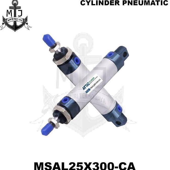 CYLINDER PNEUMATIC SINGLE ACTING MSAL 25X300