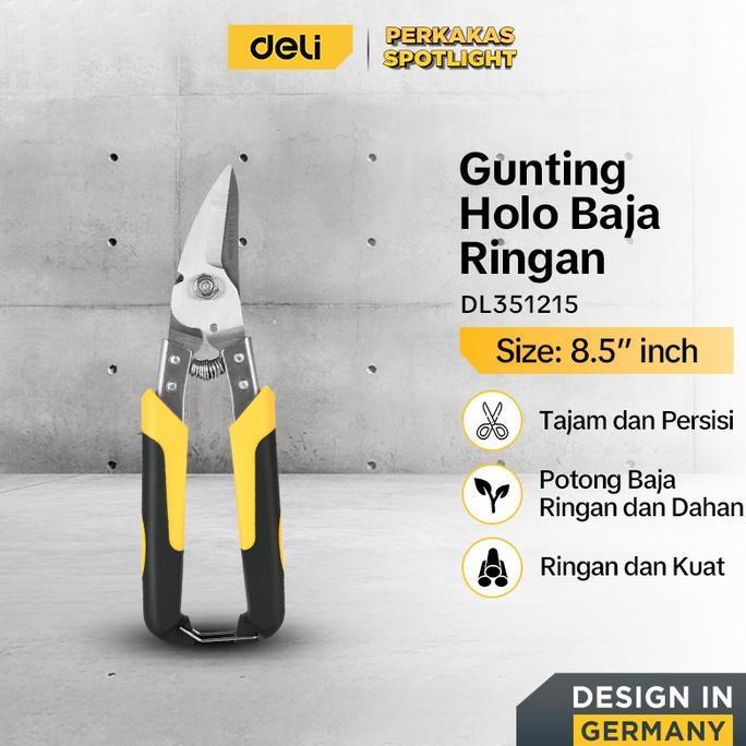 Pagenivansi - Deli Tools Gunting Holo Baja Ringan