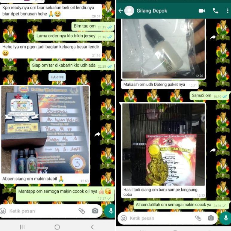 Vitamin Penggacor Lovebird Lendir Squad, Oil Bening 30Ml/Konslet Suplemen/Doping Konslet/Obat