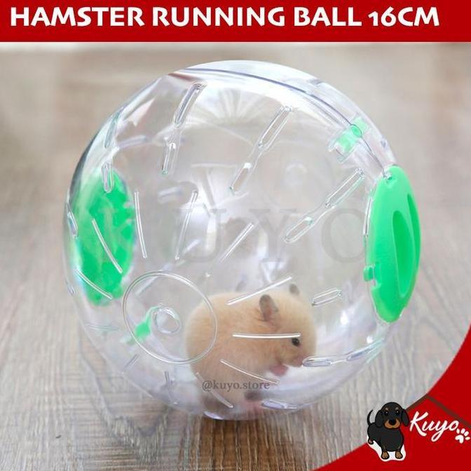 Hamster Running Ball 16cm - Mainan Roda Bola Lari Transparan Jogging [terbaik]