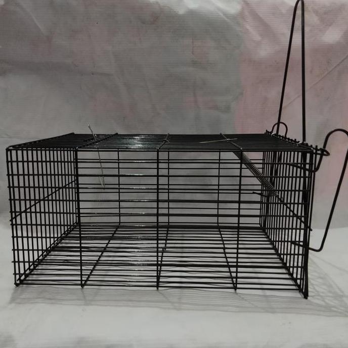 jebakan tikus besar perangkap kurungan tikus kawat baja
