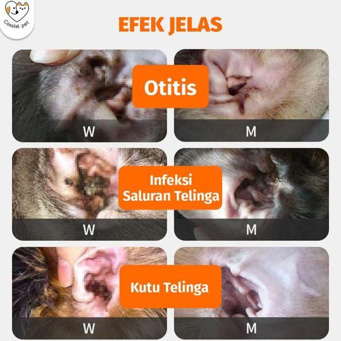 Lansungkirim- Cassiel Pet Obat Tetes Telinga Kucing Anti Peradangan Saluran Telinga Anti Earmites Co