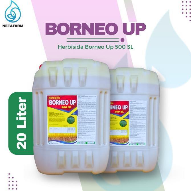 #####] HERBISIDA BORNEO UP 500 SL PEMBASMI ANEKA GULMA - 20 LITER