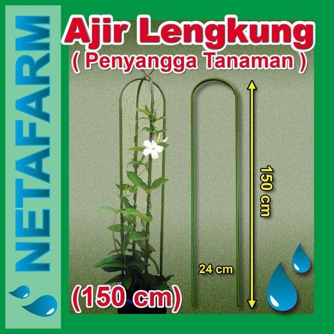 %%%%] AJIR LENGKUNG - Tinggi 150 cm ( Penyangga Tanaman )