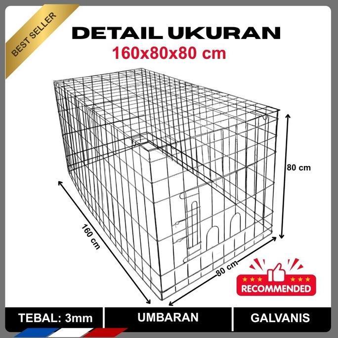 KANDANG AYAM UMBARAN GALVANIS JUMBO | VARIASI UKURAN BEST QUALITY