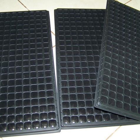 Bisa Cod Tray Semai | Tray Pot | Tempat Menyemai Benih | Seeding Hidroponik ...
