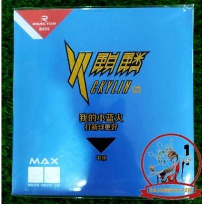 Karet Tenis Meja REACTOR Ckylin Pro Blue Sponge