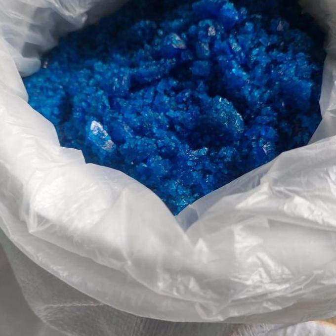 Terusi Pembiru Anti Lumut Kolam Renang