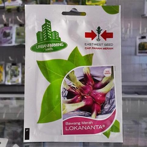 Buruan serbu] Benih Bawang Merah Lokananta 500 biji Panah Merah