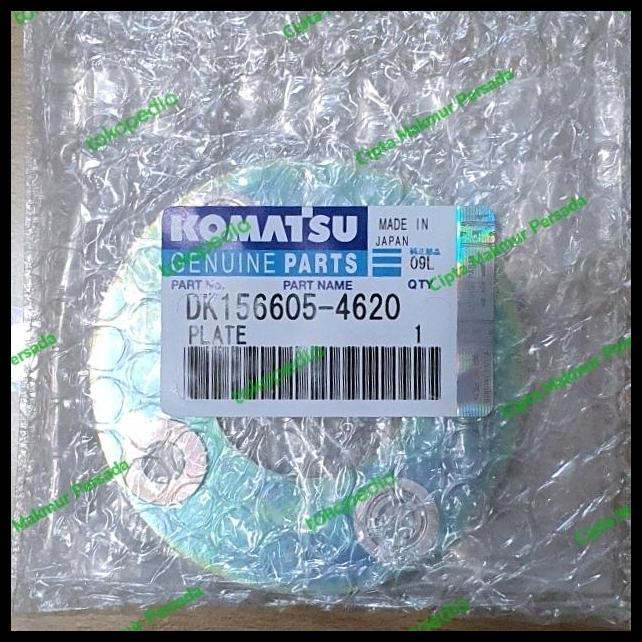 TERLARIS DK156605-4620 PLATE COUPLING 