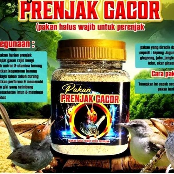 Tqs Paket Prenjak Gacor Voer Prenjak Gacor Dan Vitamin Prenjak Gacor Roll Durasi Materi